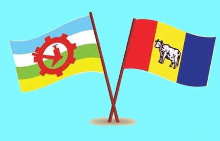 Rpp