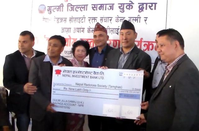 11 Gulmi